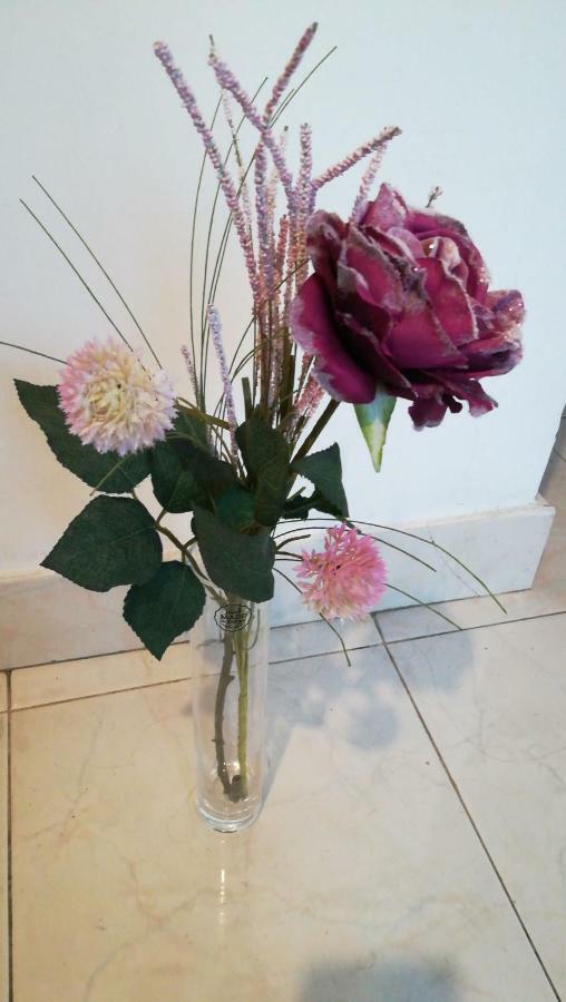 Apartment Center Roko Split Bagian luar foto